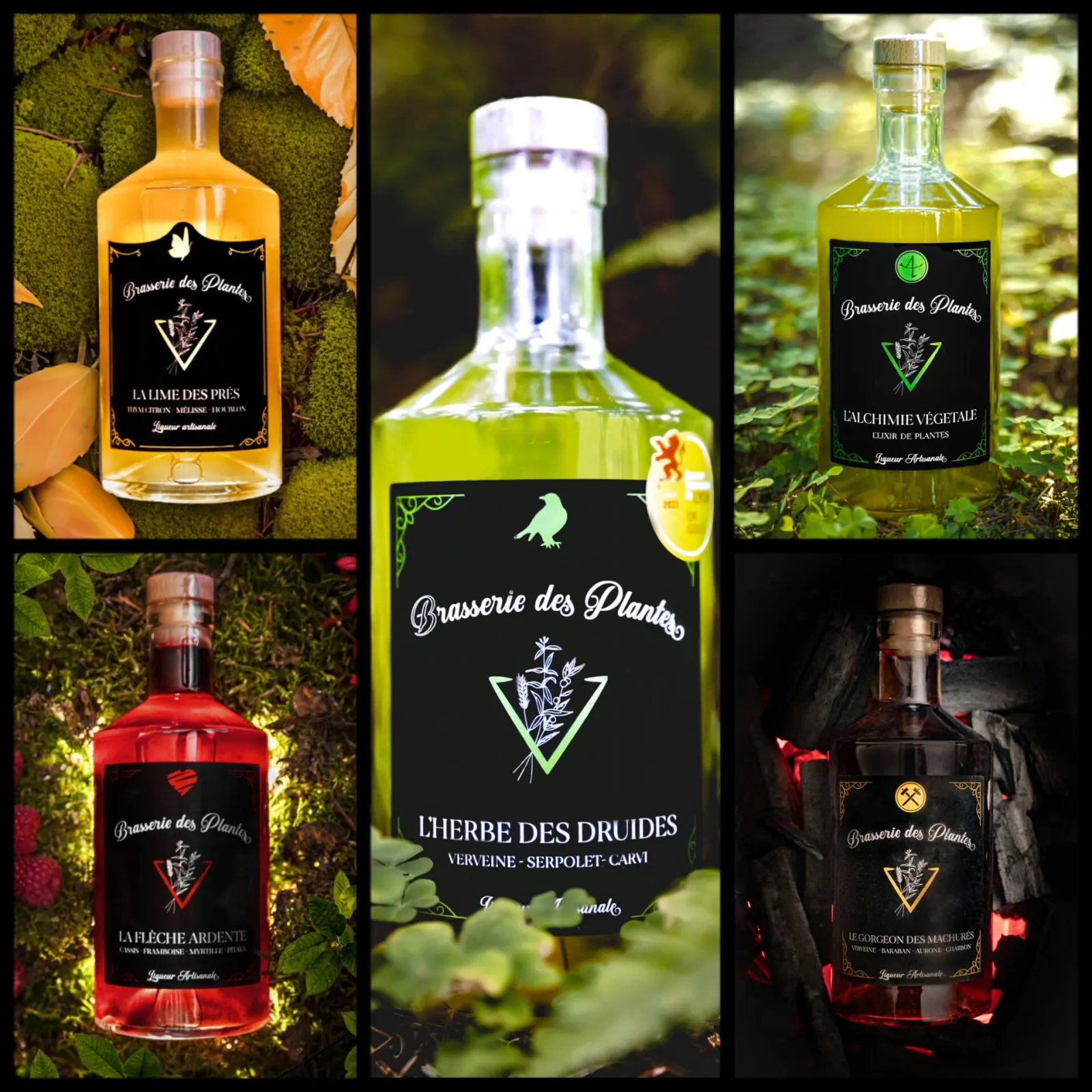 Préparation des plantes