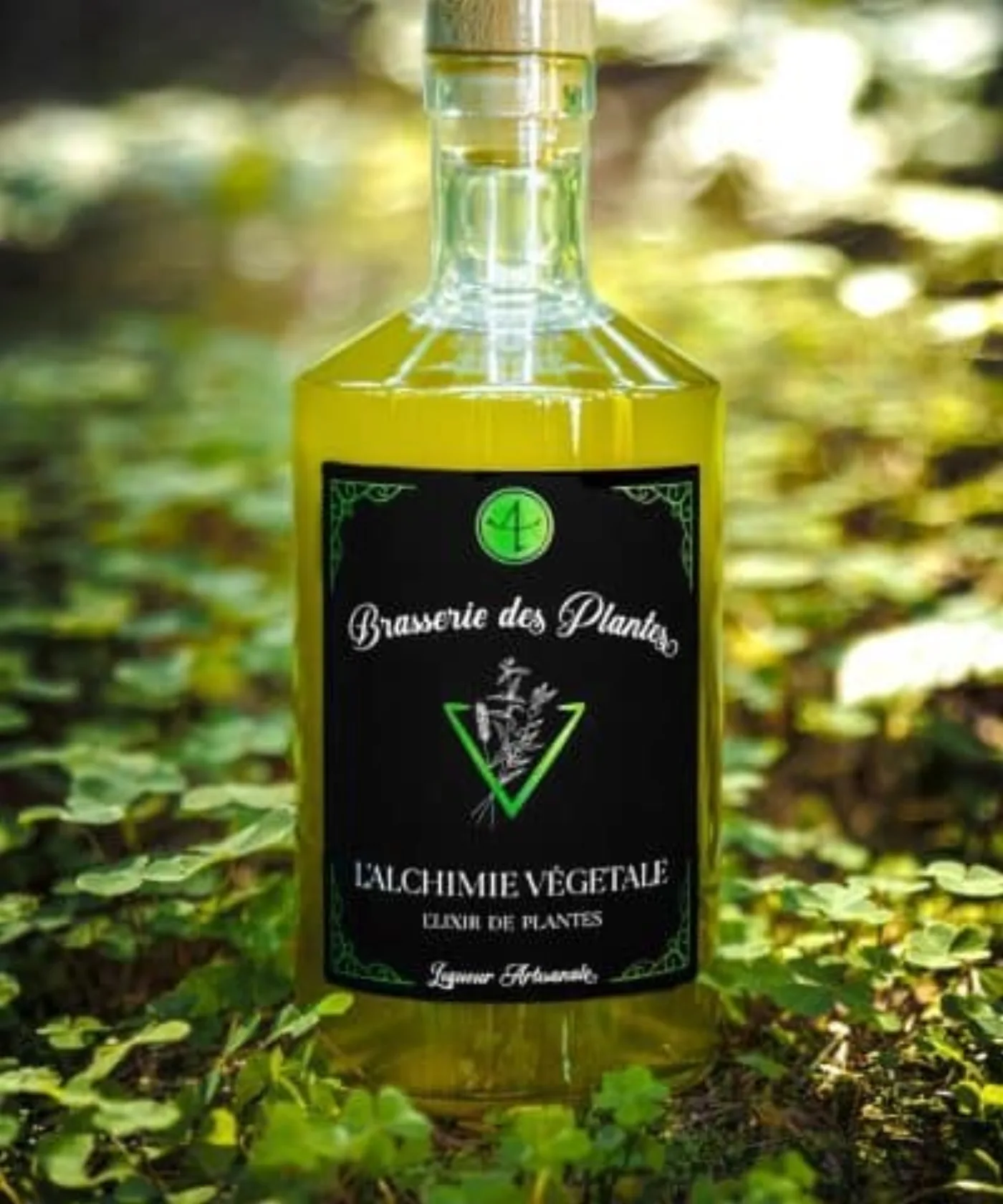 L'Alchimie Végétale — vue d'ambiance, mise en situation