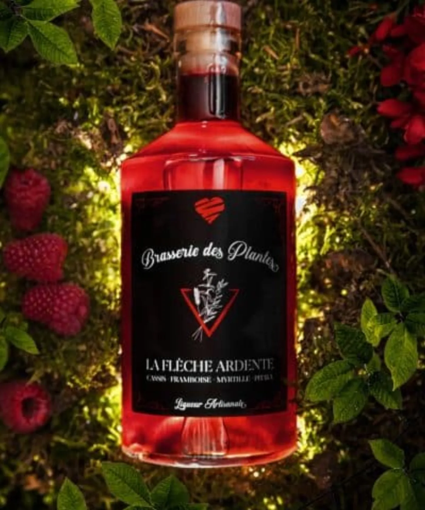 La Flèche Ardente — vue d'ambiance, mise en situation