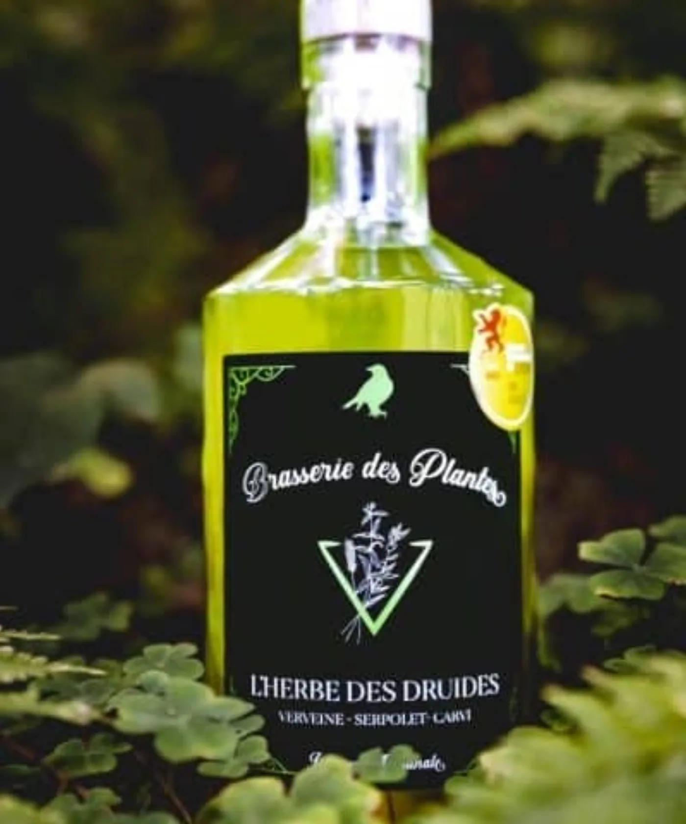 L'Herbe des Druides — vue d'ambiance, mise en situation