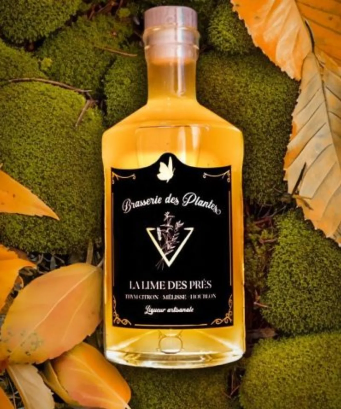 La Lime des Prés — vue d'ambiance, mise en situation