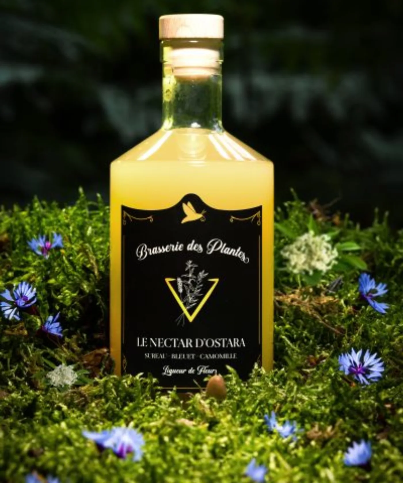 Le Nectar d'Ostara — vue d'ambiance, mise en situation