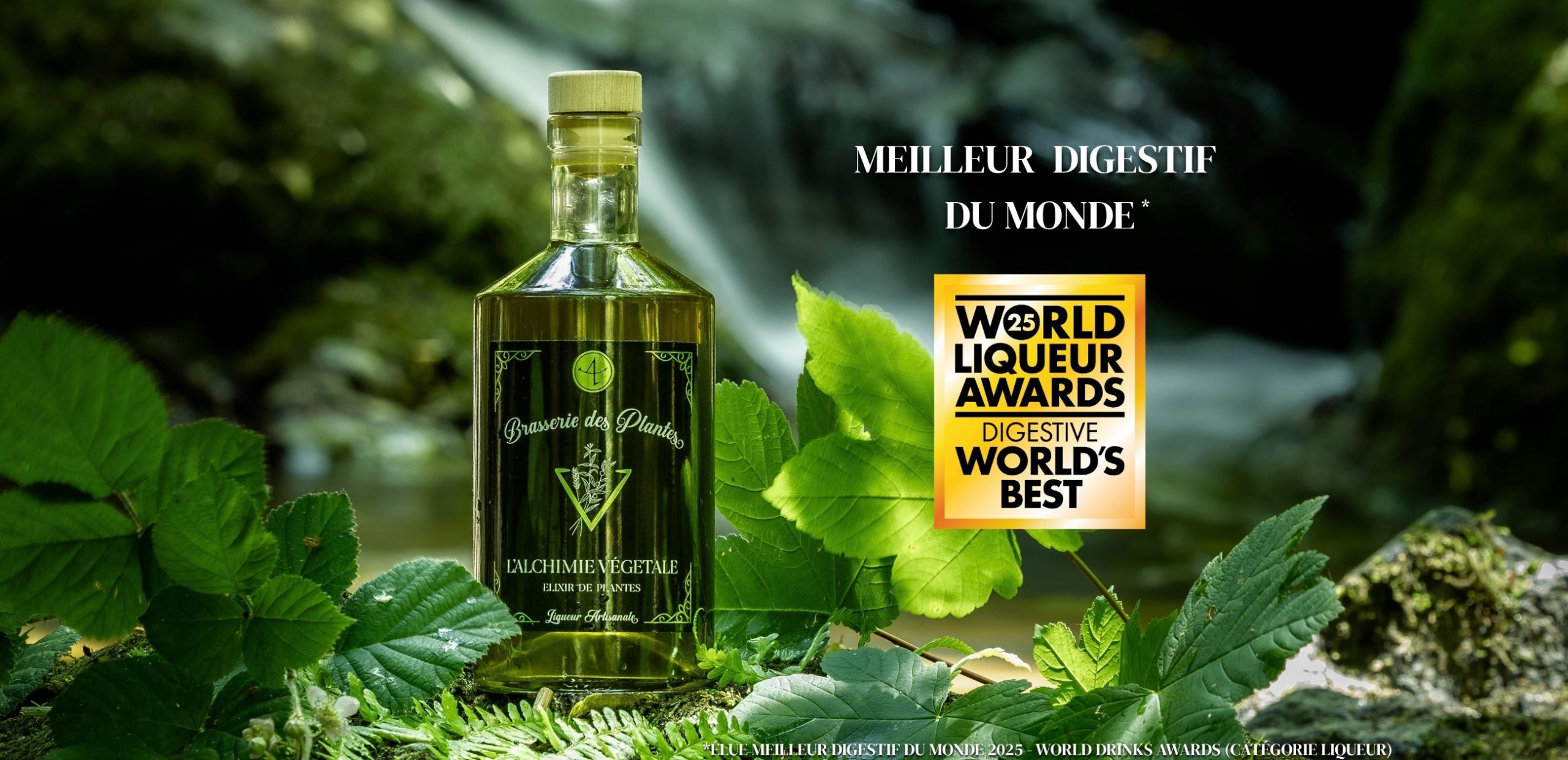 Meilleur Digestif du Monde 2025 — on a du mal à réaliser 🌿🥇